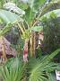 20170414_105519