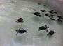20170417_160225