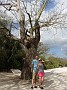 DSC01191