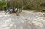DSC01197