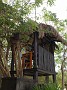 DSC01243