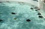 DSC01531