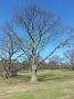 20170402_134120