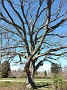 20170402_140247