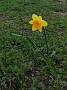 20170410_181235