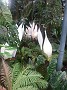 20170430_123755