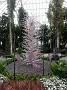 20170430_125253