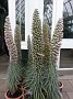 20170430_125640