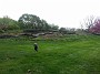 20170430_134729