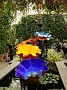 DSC01833