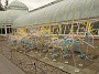 DSC01852