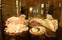 DSC01899
