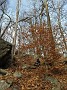 IMG_20171202_120847088
