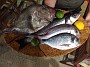 IMG_20180624_194816860