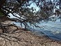 IMG_20180627_112602545