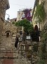 IMG_8256