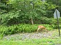 IMG_20180807_154429815