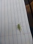 IMG_20180808_170420557