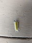 IMG_20180810_090001286