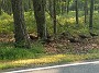 IMG_20180816_175824732