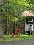 IMG_20180818_135153645