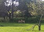 IMG_20180823_153626738_BURST001