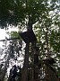 IMG_20180825_154454372