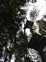 IMG_20180825_164610668