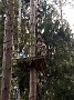 IMG_20180825_171426319_BURST001