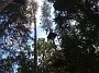 IMG_20180825_173450477