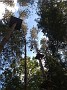 IMG_20180825_173651656