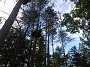 IMG_20180825_180511384