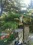 IMG_20180826_103920169