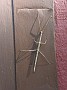 IMG_20180828_161216612
