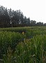 IMG_20180922_125324687