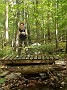 IMG_20180929_135358293