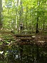 IMG_20180929_135406525