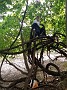 IMG_20181006_120905642