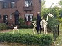 IMG_20181029_111854531