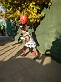 IMG_20181031_084952418