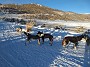 IMG_20171228_162217614