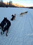 IMG_20171228_164524814_BURST000_COVER_TOP
