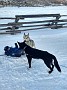 IMG_20171228_165755312_HDR