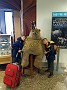 IMG_20180101_111140310