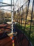 IMG_20181105_140728140