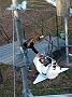 IMG_20181105_151405208