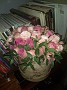IMG_20181106_172728462