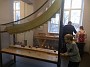 IMG_20181110_135458164