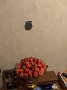 IMG_20181111_201819201