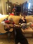 IMG_20181102_152833493